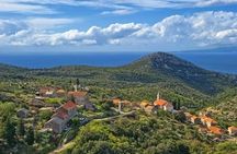 Hvar: Island tour with Wine and Olive Oil Tasting