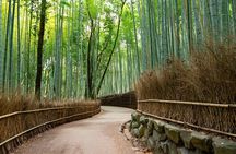 8 hours Arashiyama Monkey Park Ryoanji and Kinkaku ji Tour 