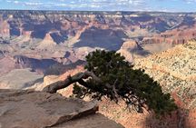 Grand Canyon Luxury Car Tour Experience