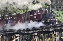 Puffing Billy and The Dandenong Ranges Private Experience