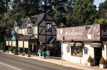 Puffing Billy and The Dandenong Ranges Private Experience