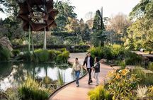 Puffing Billy and The Dandenong Ranges Private Experience