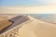 Doha Safari Adventures, Dune Bashing, Sand Buggy, Camel Ride Tour