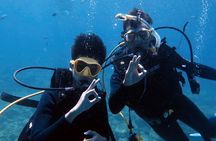 PADI Discover Scuba Diving - introduction program for beginners
