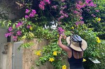 E-Bike Nature Tour in Shuri