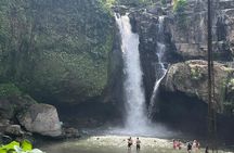 All Inclusive: Monkey Forest, Rice terrace, Holly Spring Temple