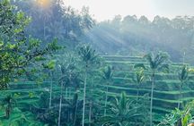 All Inclusive: Monkey Forest, Rice terrace, Holly Spring Temple