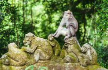All Inclusive: Monkey Forest, Rice terrace, Holly Spring Temple