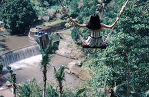 Best of Ubud: Monkey Forest, Rice terrace, Waterfalll, Temple