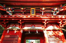 Private Shizuoka Tour from Shizuoka Station / Van Taxi