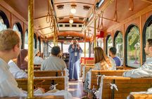 Red City Trolley Tour with Local Emirati Guide and Lunch