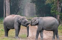  From Delhi :Taj Mahal And Agra Tour with Elephant wildlife sos