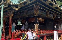 Private Shizuoka Tour from Shizuoka Station / Sedan Taxi
