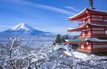 Private 1 Day Round Trip Tour from Tokyo to Mount Fuji