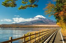 Private 1 Day Round Trip Tour from Tokyo to Mount Fuji