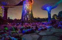  Singapore River Cruise, Light Shows and Twilight Tour 