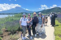 Private 1 Day Round Trip Tour from Tokyo to Mount Fuji