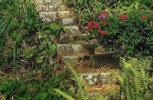 Wingfield Rainforest Adventure Hike and Caribelle Batik stop