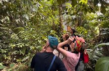 4 Day All Inclusive Amazon Jungle Adventure, transfer from Quito