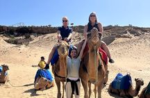 Tangier Luxury Day Trip from Tarifa/Malaga All inclusive