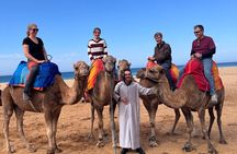 Tangier Luxury Day Trip from Tarifa/Malaga All inclusive