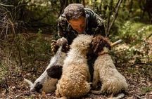 Hunting for the Truffle