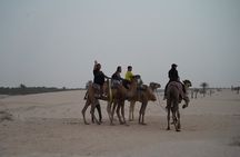 Private 3 Day Tour in Southern Tunisia or More 