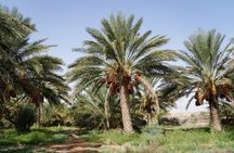 Private 3 Day Tour in Southern Tunisia or More 