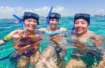 Isla Mujeres Basic Trip with Snorkel and Open Bar