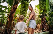 4 Days All Inclusive Jungle Tour from Iquitos at Maniti Eco Lodge