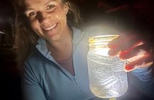 Wildlife Refuge Bio Comb Jelly Sunset Kayak or Paddleboard Tour!