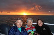 2 Hour Sunset Eco-Cruise