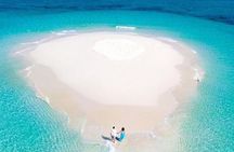Mnemba Snorkelling and Dolphin Tour in Nungwi