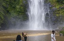 Wli Waterfall and Tafi Atome Monkey Sanctuary Tour