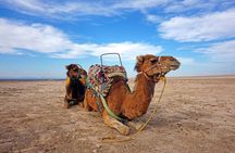 AGAFAY CAMEL BACKPACK and BERBER DINNER with Transfer 