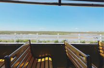 Mayflower Trolley Tour!