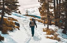 Yosemite National Park 2-Day Winter Tour from San Francisco