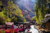 Day Trip to the Ourika Valley