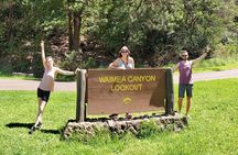 Kauai Private Guided Tour to Waimea Canyon from Nawiliwili