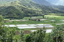 Kauai Island Private Guided Movie Tour from Lihue