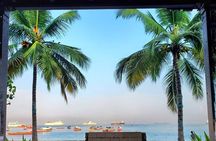 Explore the Whole Zanzibar Island in One Day