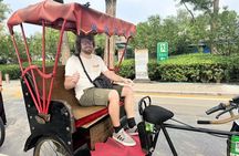 Summer Palace, Hutong Rickshaw, Lama and Confucius Temple Tour 