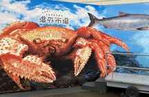Tour in Sapporo Shrine, Fish Market and Shiroi Koibito Park