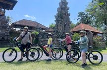 Explore Rice Fields and Hidden Villages with Ubud E-Bike Tour
