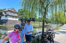 Explore Tokyo’s Must-See Spots by E-Bike – Small Group 3h Tour