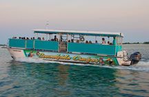 Morning Snorkel & Dolphin Adventure