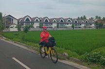 Explore Rice Fields and Hidden Villages with Ubud E-Bike Tour