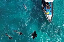 Full Day Nusa Penida Snorkeling Tour to Explore 4 Top Spots