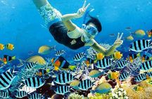 Full Day Nusa Penida Snorkeling Tour to Explore 4 Top Spots
