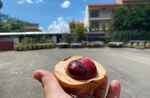 Penang countryside Balik Pulau Half Day Tour 
